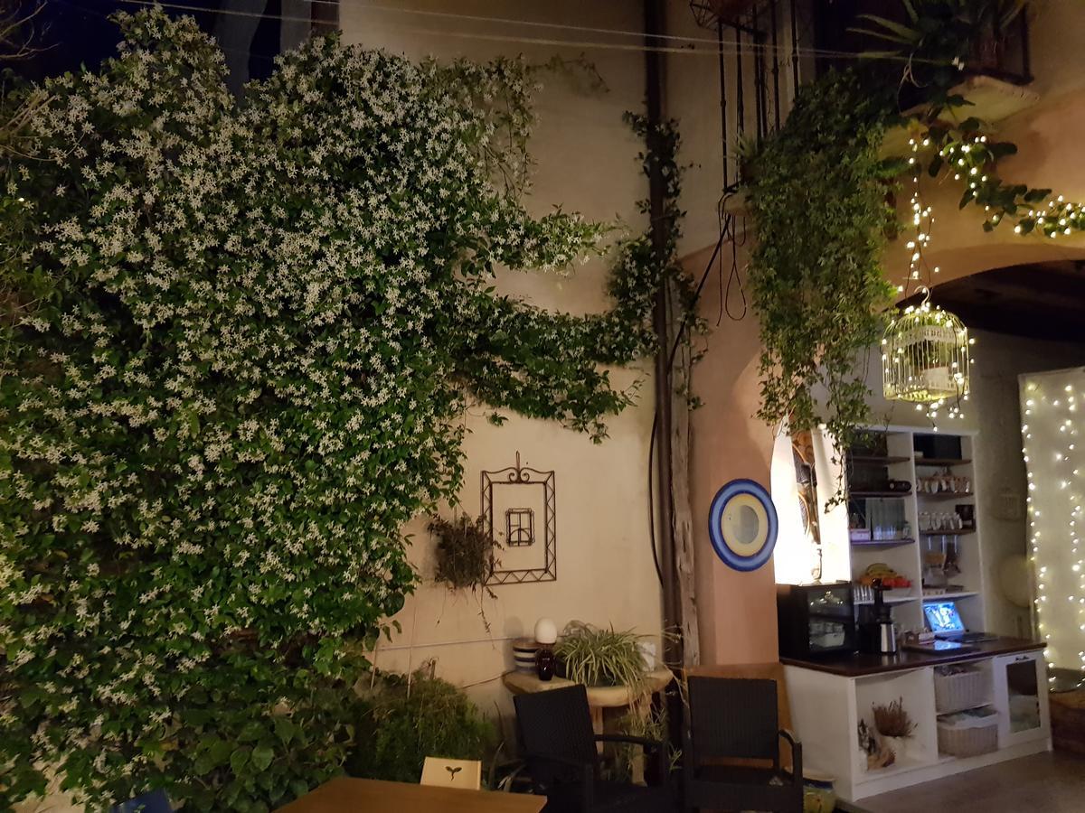 阿尼尼雅住宿加早餐旅馆 卡尔图西 外观 照片